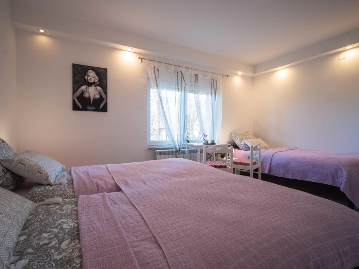 Apartment Rita By Interhome Drazice Exterior photo
